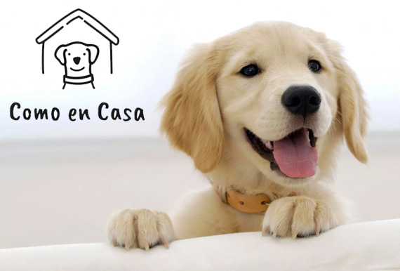 Residencia, Alojamiento como en casa para mascotas