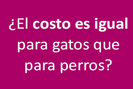  Costo del Seguro de Mascotas
