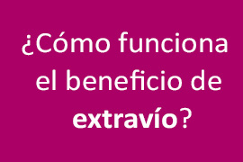 Cuando se extravía una mascota