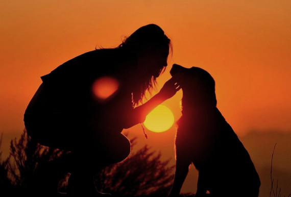 Sacrificio de animales, veterinaria