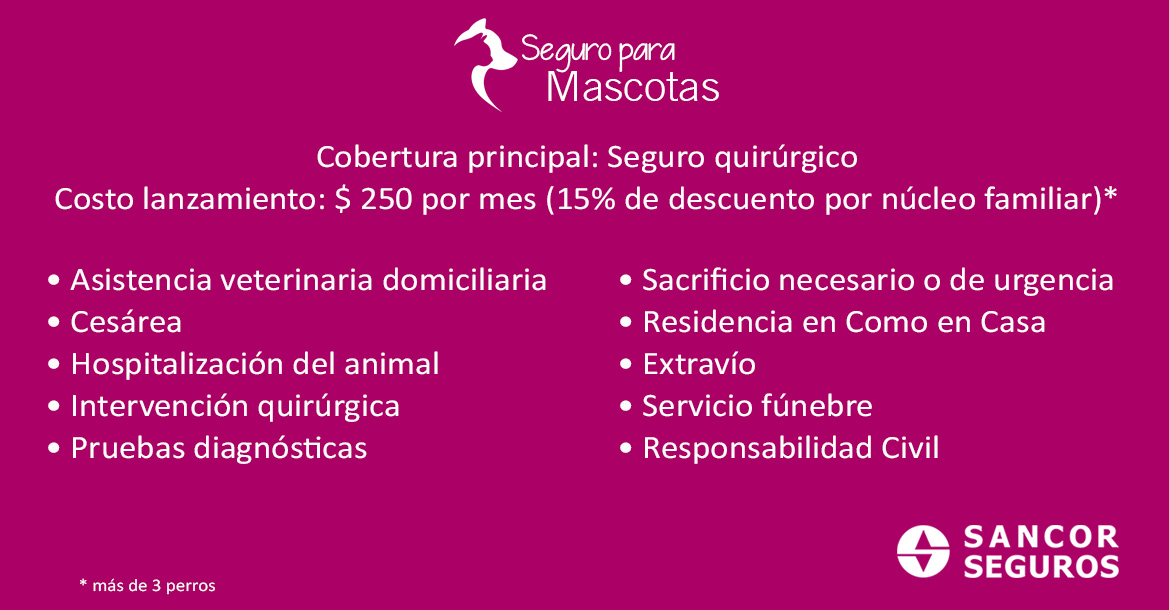 Seguro para Mascotas y sus beneficios